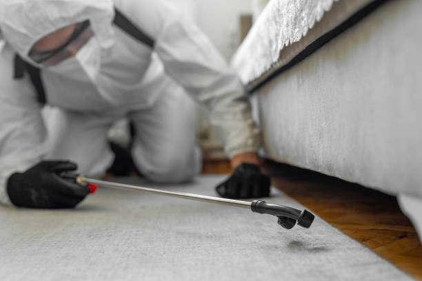 Professional Mosquito Control technician working in August, CA