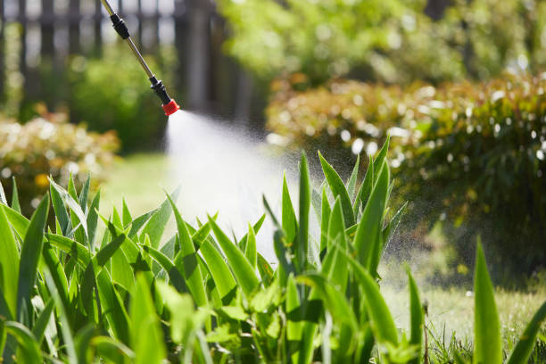 24/7 Emergency Mosquito Control experts in August, CA