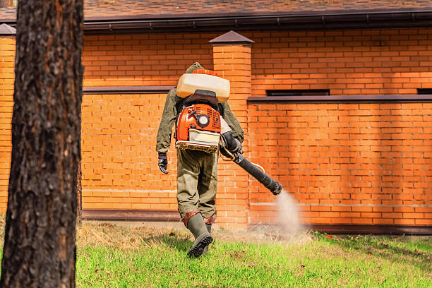 Top rated local Mosquito Control specialists in August, CA